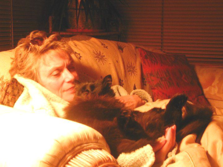 ginnacat.jpg