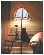 cat on lamp